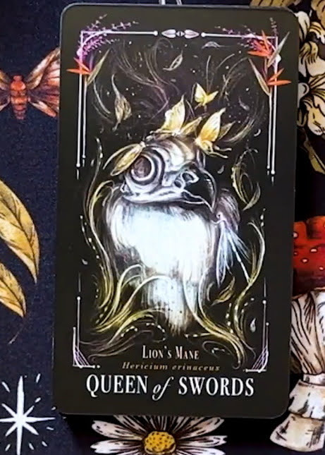 Midnight Magic: A Tarot Deck of Mushrooms